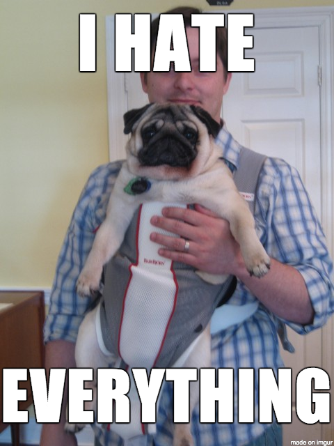 via Urban Pug